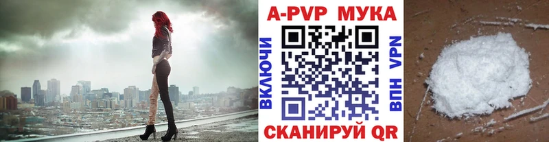 Альфа ПВП СК  Суздаль 