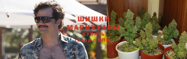 метадон Каменка