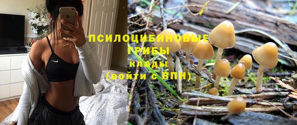 ПСИЛОЦИБИНОВЫЕ ГРИБЫ Арсеньев