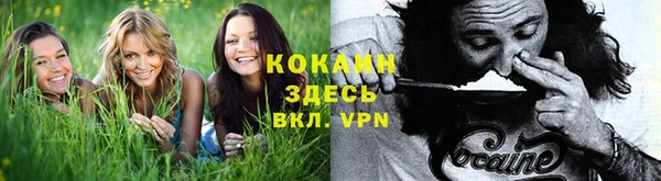 спайс Аркадак