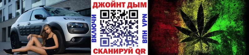 Каннабис сатива  Суздаль 